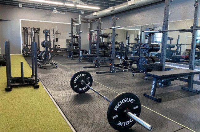 cryotherapy chamber for gyms