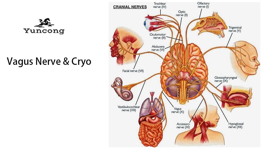 why does cryotherapy make you feel good