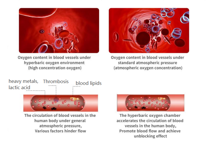 Oxygen content in blood vessels under hyperbaric oxygen chamber